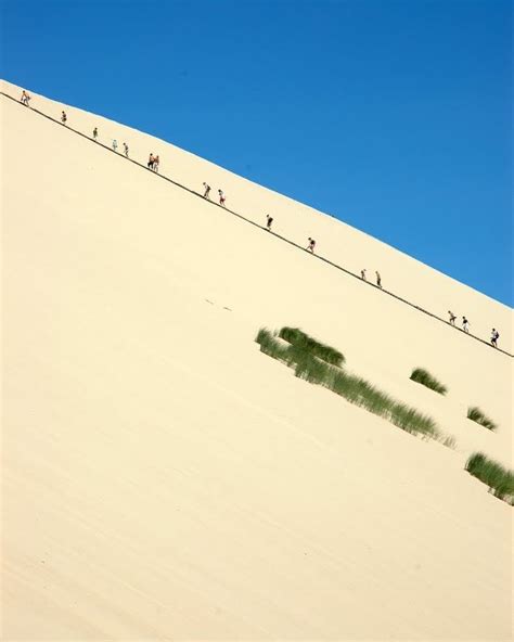 Dune Du Pyla Ascension De L Escalier Sud Endroit Paradisiaque