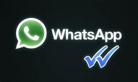 Whatsapp Check Marks Blocked Havenolfe