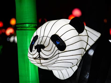 An Anxious Panda Bear With Blue Eyes And Green Bamboo Stock Photo