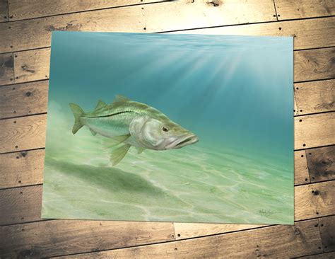 Snook Drawing Snook Cruising The Beach Art Print Shipped