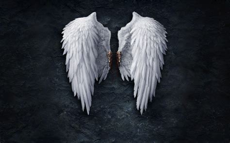 Beautiful Angel Wings Wallpaper