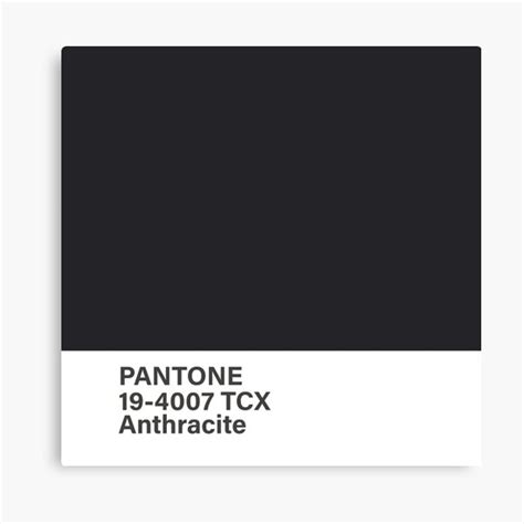 Pantone 19 4007 TCX Anthracite Canvas Print For Sale By Princessmi