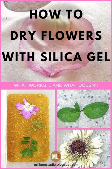 Flowers in resin epoxy resin project and ideas. Drying and Preserving Flowers for Resin | How to preserve ...