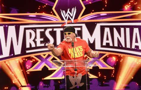 Hulk Hogan Fired By Wwe Over ‘racial Tirade Rolling Stone