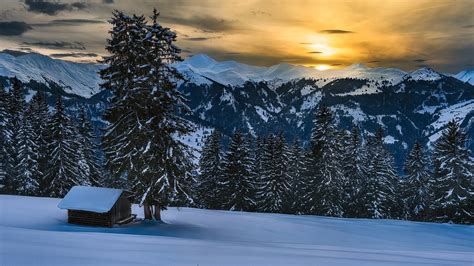 Snow Covered Trees And Mountains During Sunset Hd Nature Wallpapers