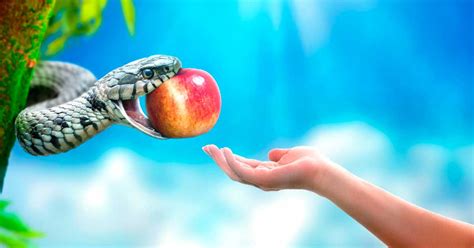 was the “forbidden fruit” in the garden of eden actually an apple ancient origins
