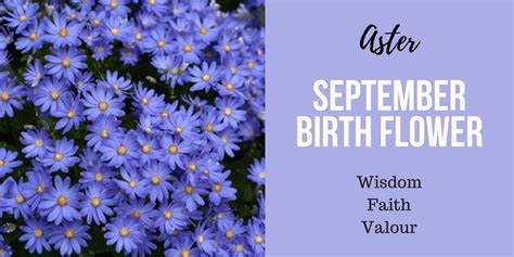 Discover Your Birth Flower Interflora Birth Flowers September Birth Flower September Flowers