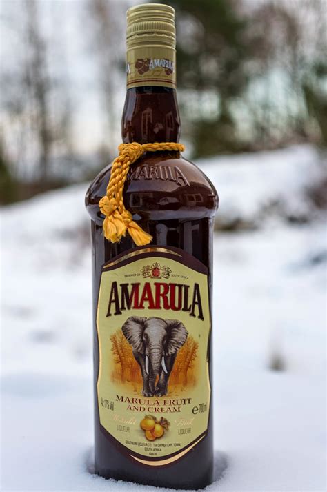 Amarula is a delicious south african liquor made of sugar, cream, and the fruit from the marula. Mat och odla: Amarula colada - en cocktail drink med ...
