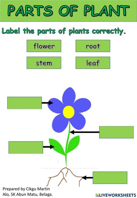Parts Of A Plant Interactive Worksheet For Grade 1 You Can Do The