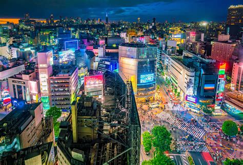 navigating tokyo nightlife motto japan media japanese culture and living in japan