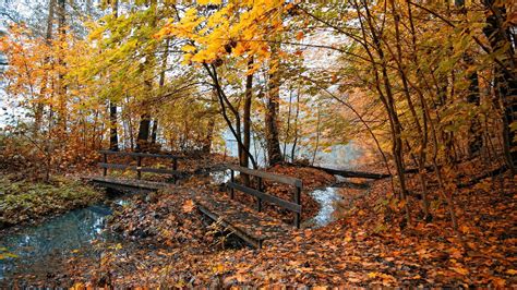 Download Wallpaper 1366x768 Autumn Bridges Trees Wood Leaves