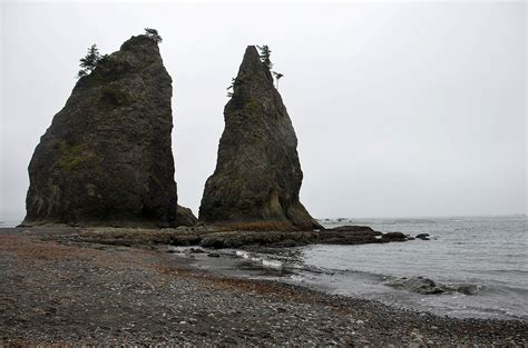 Edupic Coastal Biomes And Habitats
