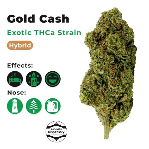 Exotic Gold Cash Thca Flower Asheville Dispensary
