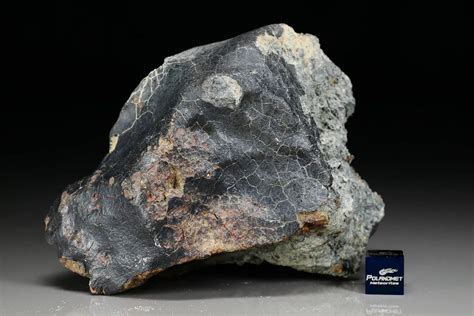 Dhofar 1658 4601 Gram Polandmet Meteorites