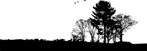 Trees Landscape Silhouette Icons Png Free Png And Icons Downloads