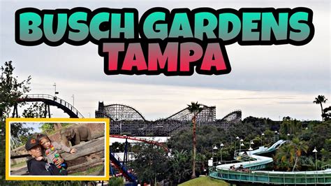 Guest reviews for value lodge busch gardens tampa. BUSCH GARDENS, TAMPA - YouTube