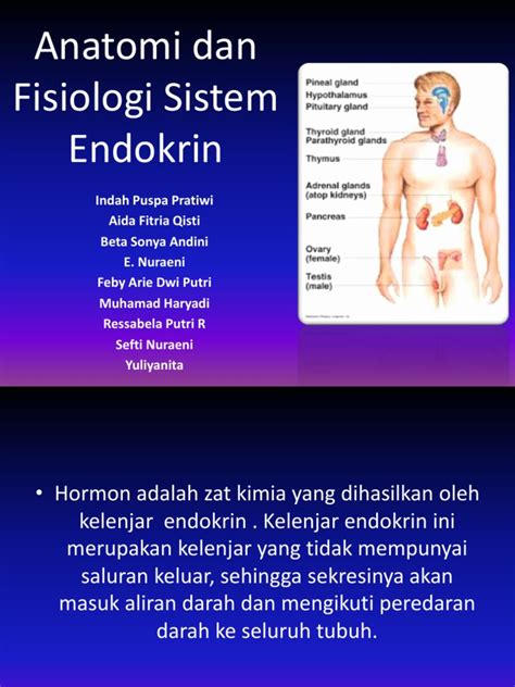 Ppt Anatomi Dan Fisiologi Kulit Manusia Dokumen Tips Sexiz Pix