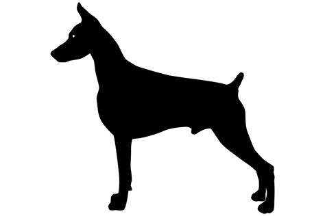 Male Doberman Dog Silhouette Graphic By Idrawsilhouettes · Creative Fabrica