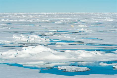 Arctic Sea Ice Shrinks To Second Lowest Summer Minimum On Record