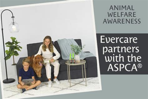 Evercare Partners With The Aspca® For Animal Welfare Awareness