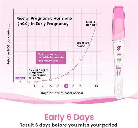 5 X Pregnancy Tests 6 Day Early Detection Pregnancy Test Sticks Pack