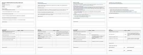 Project Debriefing Template
