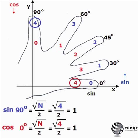 Como Calcular O Valor Dos Senos Cossenos Tangentes E Cotangentes Dos ângulos 0° 30° 45° 60