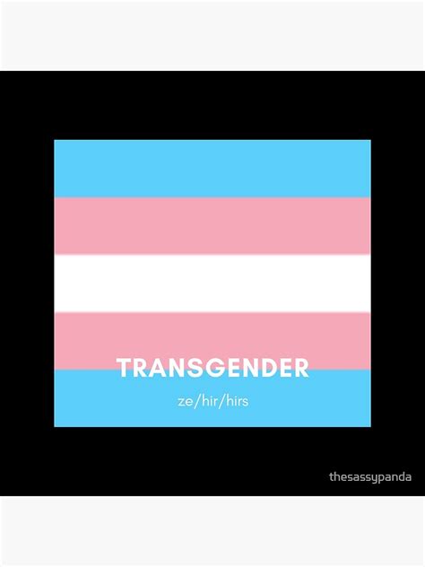 Pride Flag Logo With Pronouns Trans Pride Flag Zehirhirs Poster