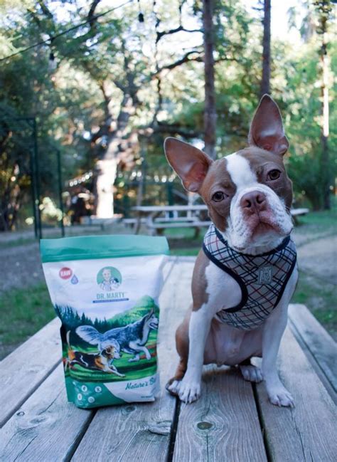 Have dog food shipped to you, or buy online and pick up in store to save! Nature's Blend | Freeze dried dog food, Dog food recipes, Dogs