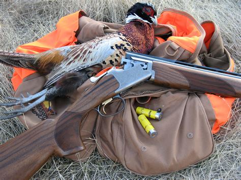 Pin On Pheasant Hunting