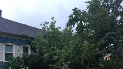 Severe Storm Downs Trees Damages Homes