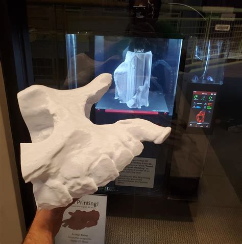 3d printing at the gray fossil site gray fossil site and museum