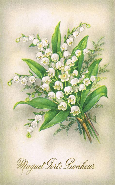1er mai images, photos, gifs et illustrations. Cpa 1er Mai - muguet Porte-Bonheur - - Carte postale ...