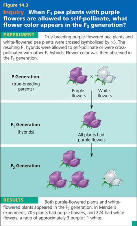 Rozaini Othman Guru Cemerlang Biologi Genetic 1