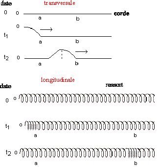 Ondes exercices supplémentaires 1) une onde sinusoïdale progressive sur une corde est donnée par y( x, t ) 0,03cos(2, 4 x 12t 0,1) où x et y sont en cm et t en seconde. ondes, résumés de cours