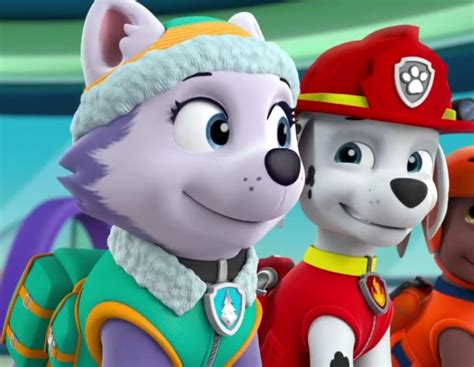 marshall and everest paw patrol animated couples photo 40131003 fanpop