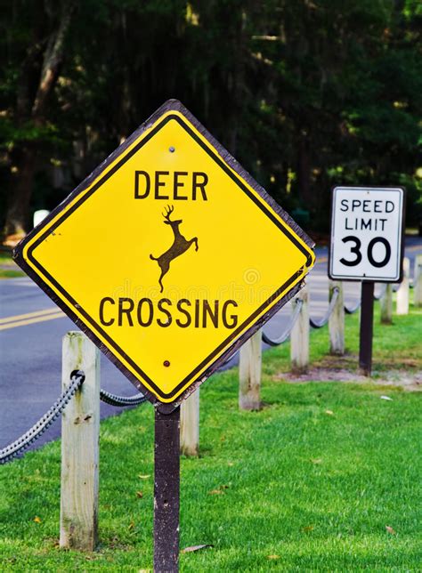 Deer Crossing Sign stock image. Image of watch, warning - 5128971
