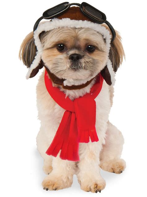 Aviator Pilot Hat With Goggles For Pet Dog