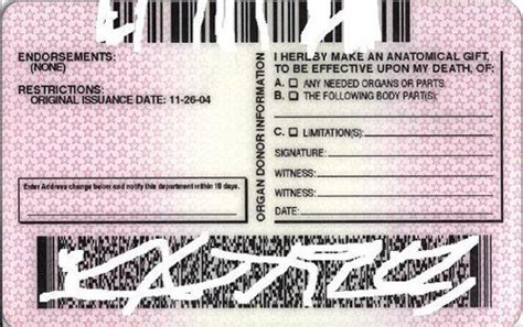 Driver License Barcode Information Yellowhero