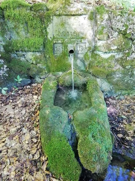 Old Well In German Forest With Fresh Cold Water Stock Photo Image Of