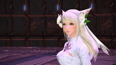 27 Final Fantasy 14 All Hairstyles Hairstyle Catalog