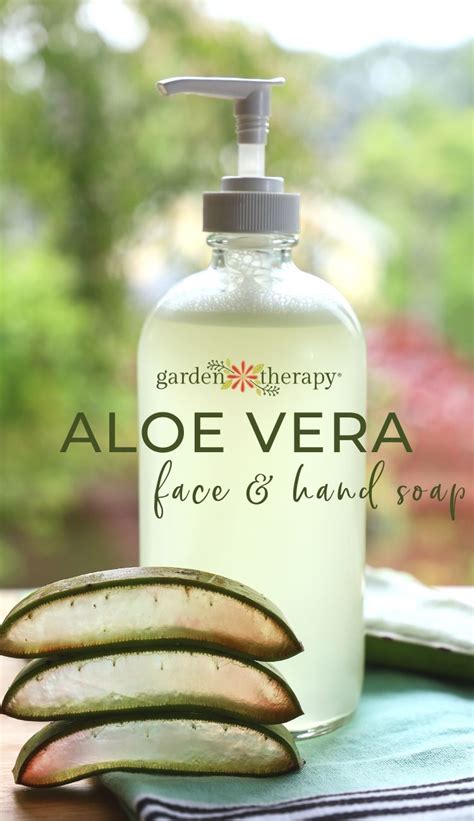 How To Make Aloe Vera Soap Skin Soothing Recipe Aloe Vera For Face