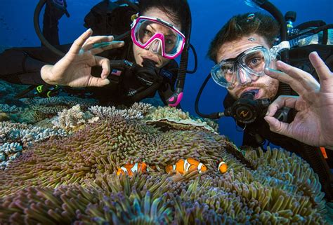 Australia Seven Day Scuba Dive Course Real Gap Experience