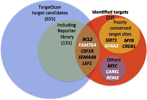 identification of targets of tumor suppressor microrna 34a using a reporter library system pnas