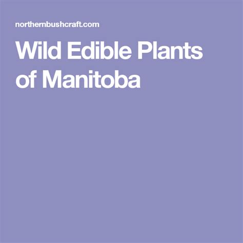 Wild Edible Plants Of Manitoba Edible Wild Plants Wild Edibles