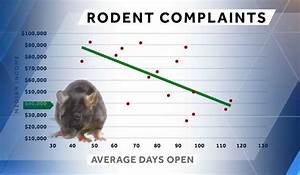 As Rodent Complaints Jump In Boston Poorer Neighborhoods See Delay In