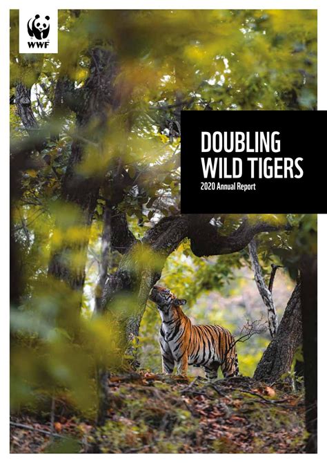 Annual Report 2020 Doubling Wild Tigers By Wwf Tigers Alive Issuu