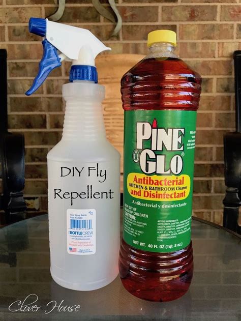 Fly Repellent Diy Easy Trap Traps Homemade Traps Home Remedies For Flies