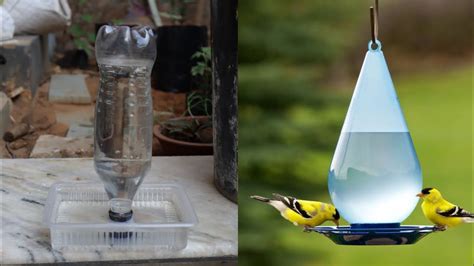 How To Make A Bird Water Feeder Helpful For Birds In Summer Youtube