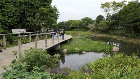 A Tour Around Hong Kong Wetland Park Lh Blog Anigames